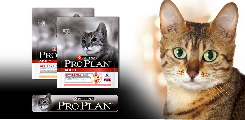 Про План корм для кошек (Pro Plan):