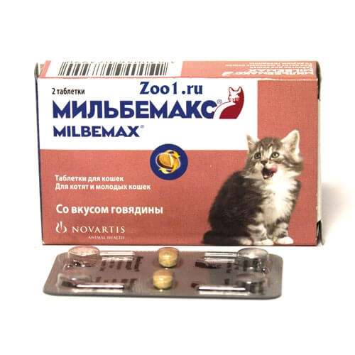 Лечение гельминтоза у кошек Мильбемаксом