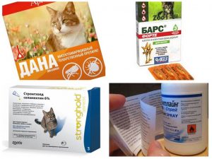 препараты от глистов у кошек