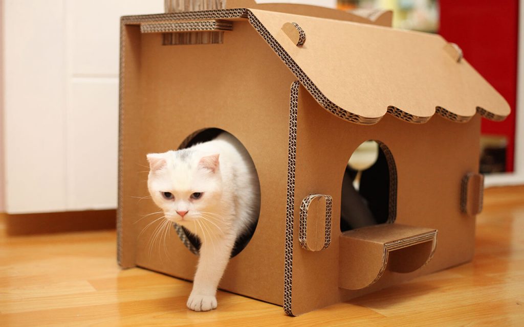 дом для кошки осн