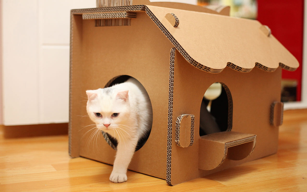 Как сделать домик из коробки для кошки